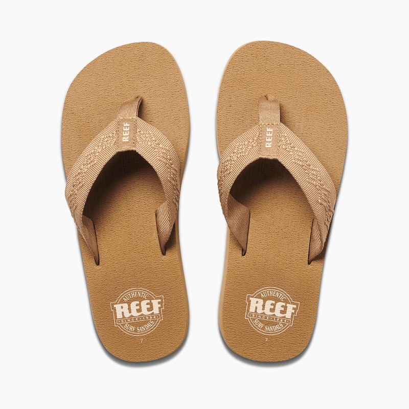 Brown Reef Sandy | BcYvHfJUC88