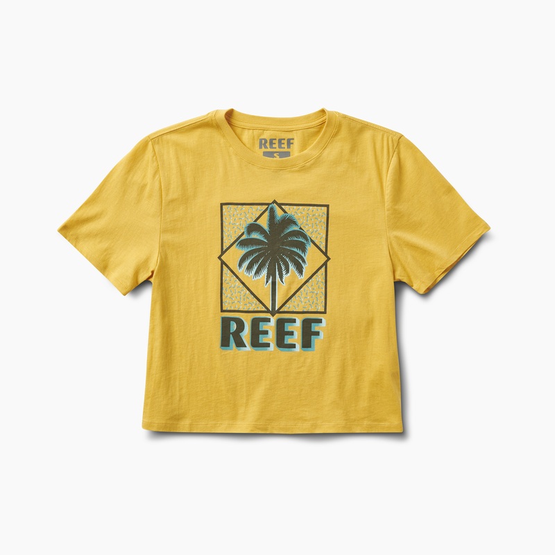 Multicolor Reef Barco Cropped | FB92nOqJCEN