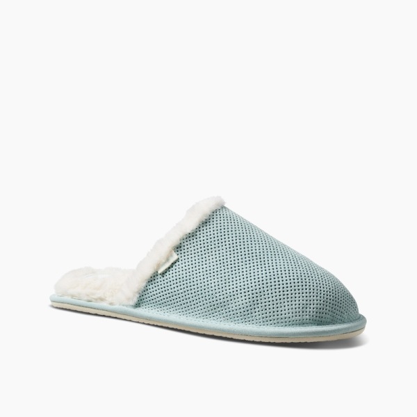 Light Turquoise Reef Reef Cozy | 2p9Y83r0eYB